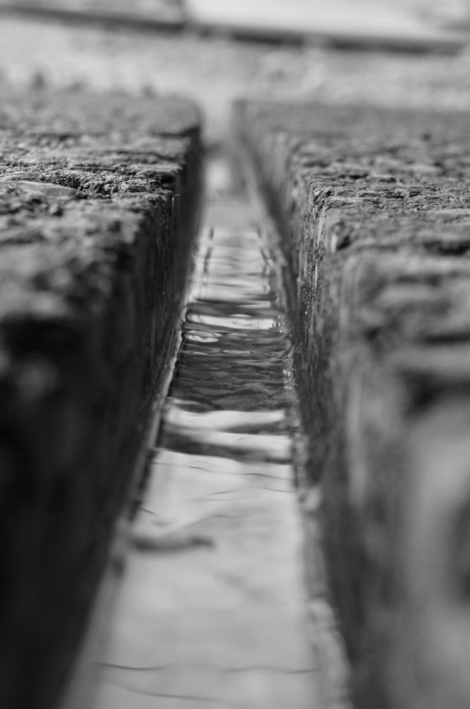 Fotoclub Rj Monatsbild 2 Mai2014 